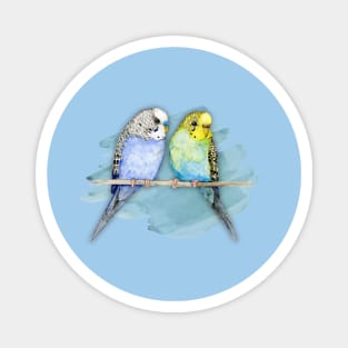 Two cute budgies watercolor Magnet